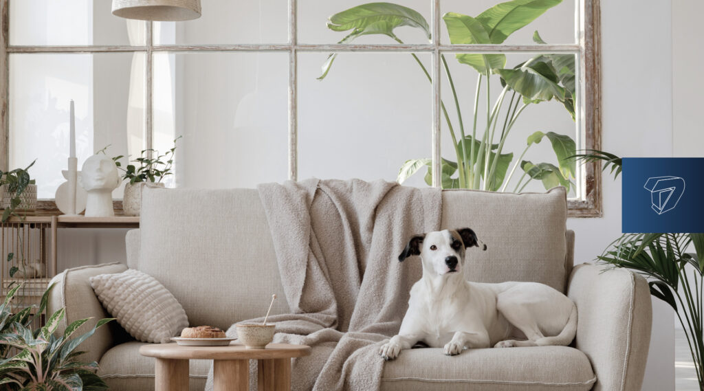 Dimensão Construtora - Decoração Boho
